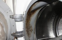 Что делать, если в стиральной машине завелась плесень?